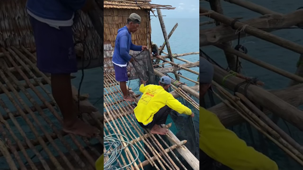 Proses Pembuatan Kelong Hari ke-4 | Akhirnya selesai juga | Perjuangan di Tengah Laut 🌊🔥