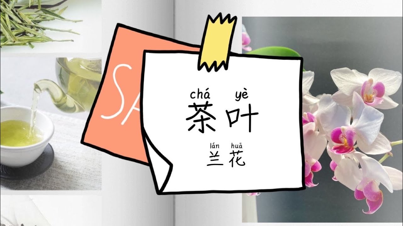 【20158】茶疗，兰花与茶水，蝴蝶兰可以茶疗  Orchid and Tea //静姐说花345