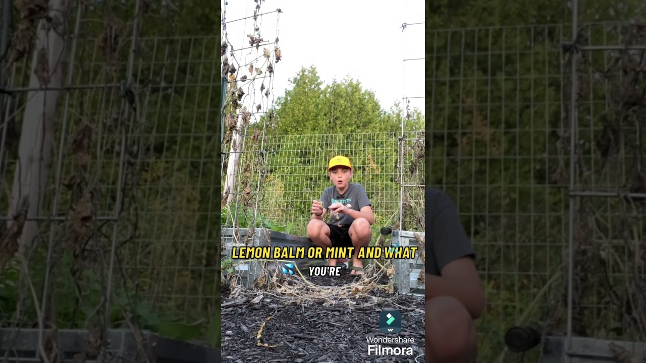 Hacking nature DIY bug spray