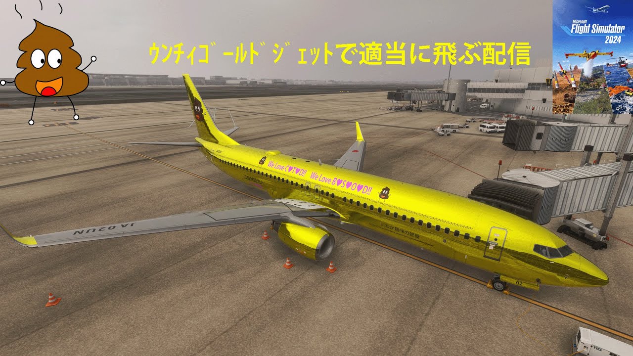 【MSFS2024】RJTT→RJCB【PMDG738】