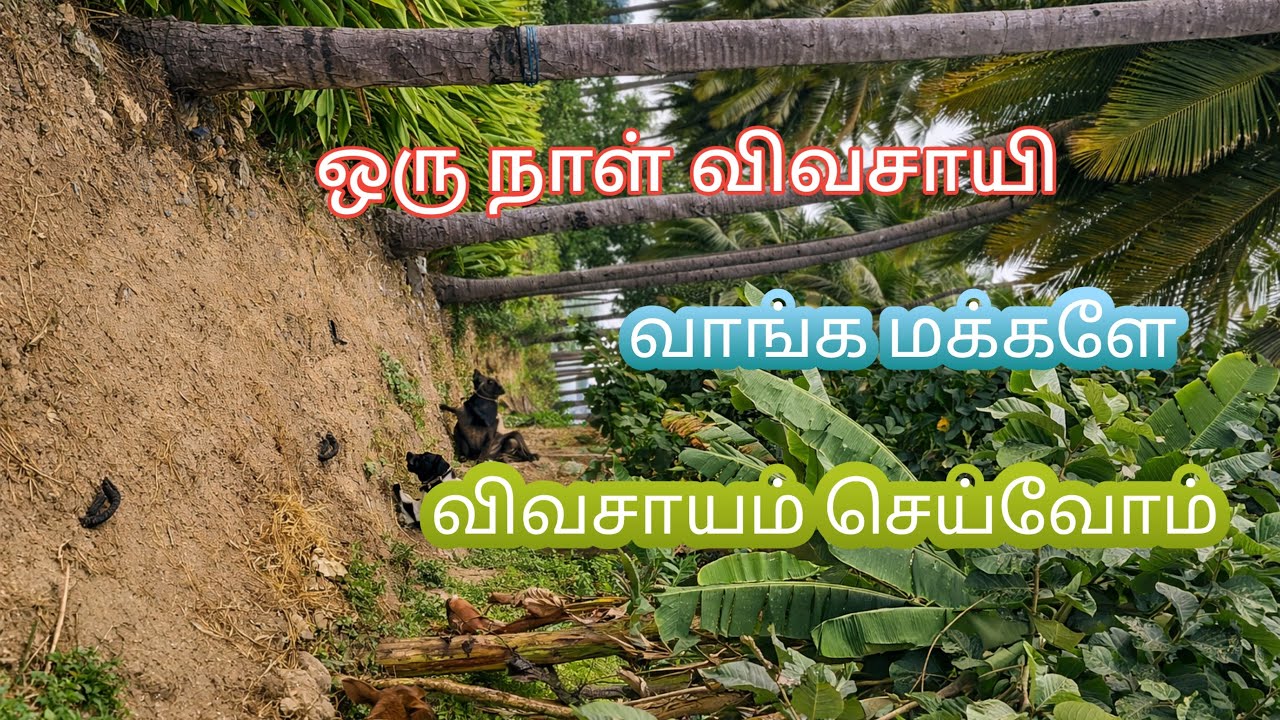 விவசாயம் பற்றி ஒரு முன்னோட்டம்