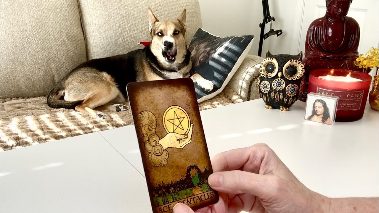 This Abundance Portal Was Created Just for You.