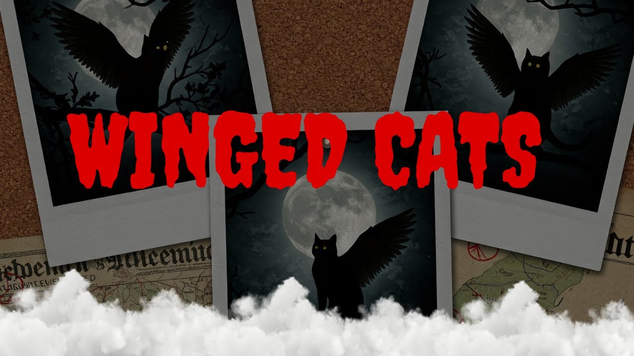 Winged Cats