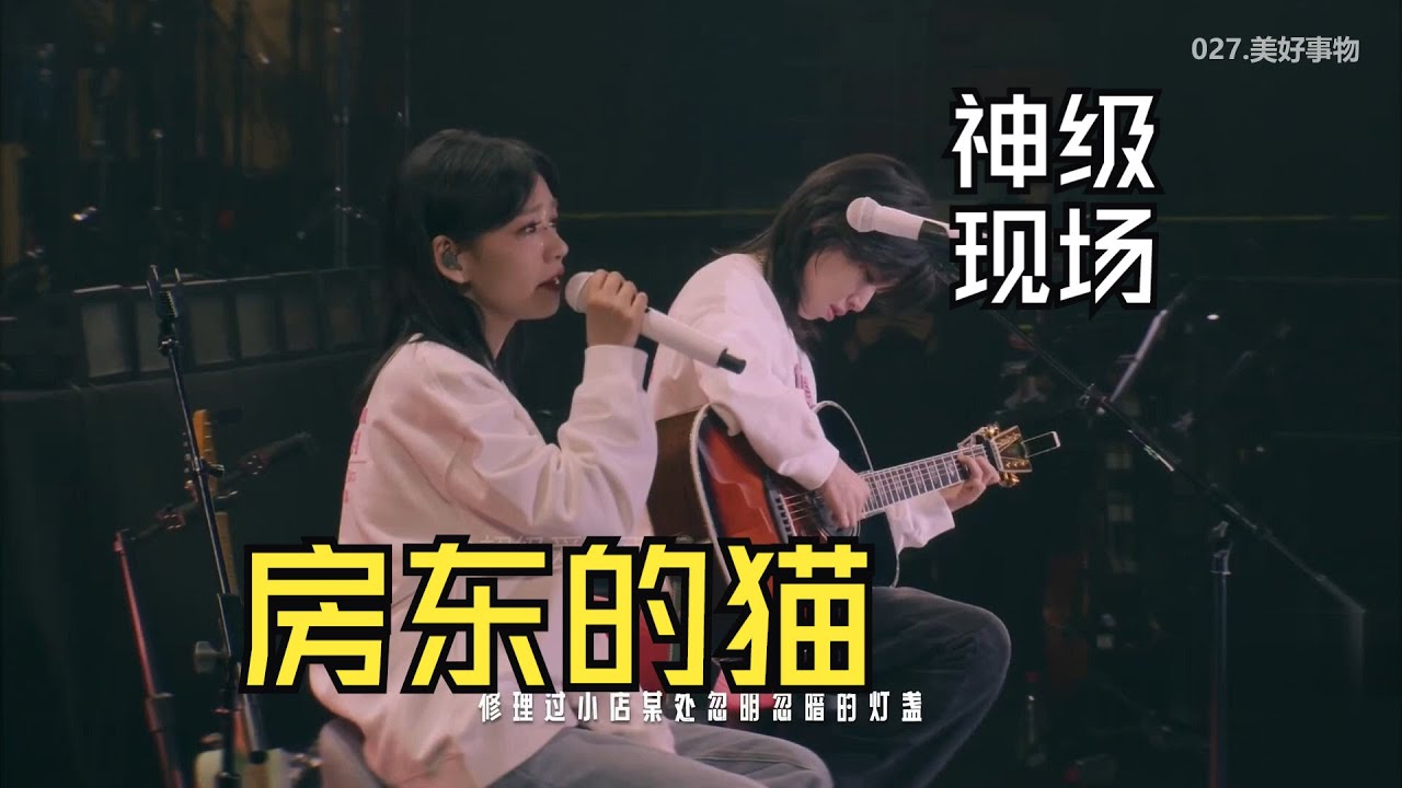 【房东的猫】神级現場31首合集、房东的猫世界青年十週年演唱會