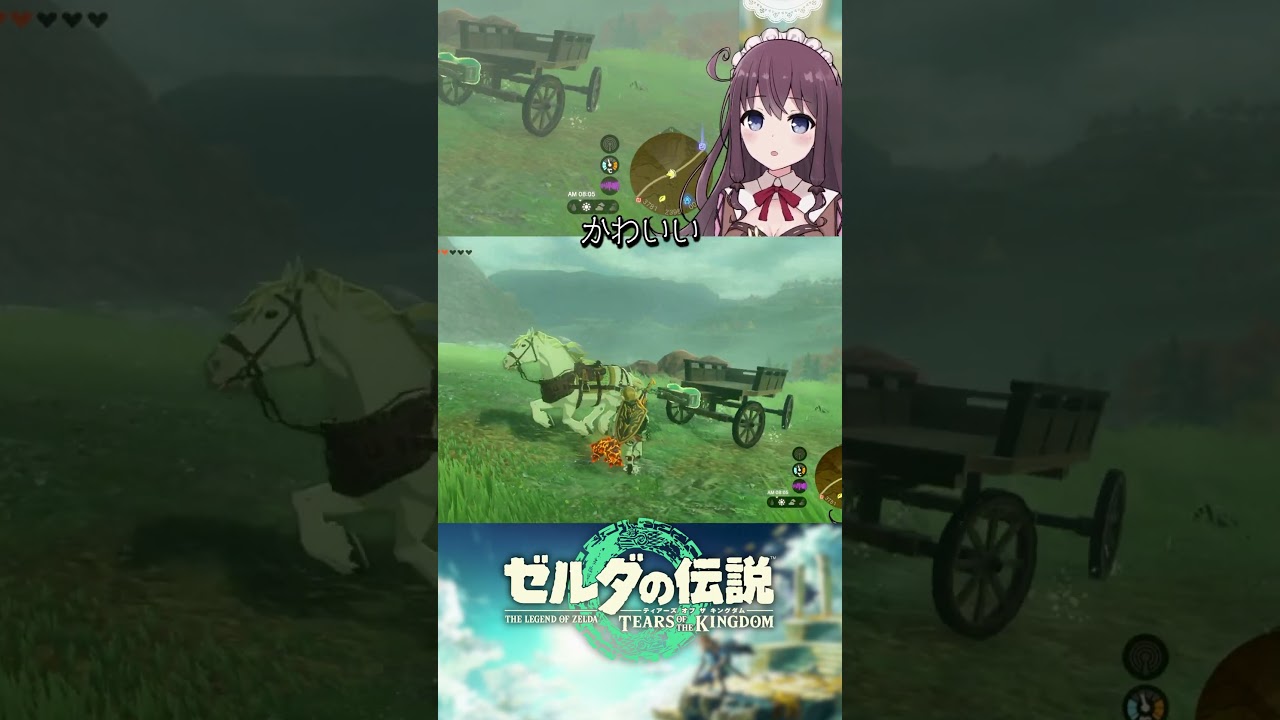 【Zelda】ティアキン所有馬ならではの痛みｗ ゼルダの伝説ティアーズオブザキングダム #Shorts