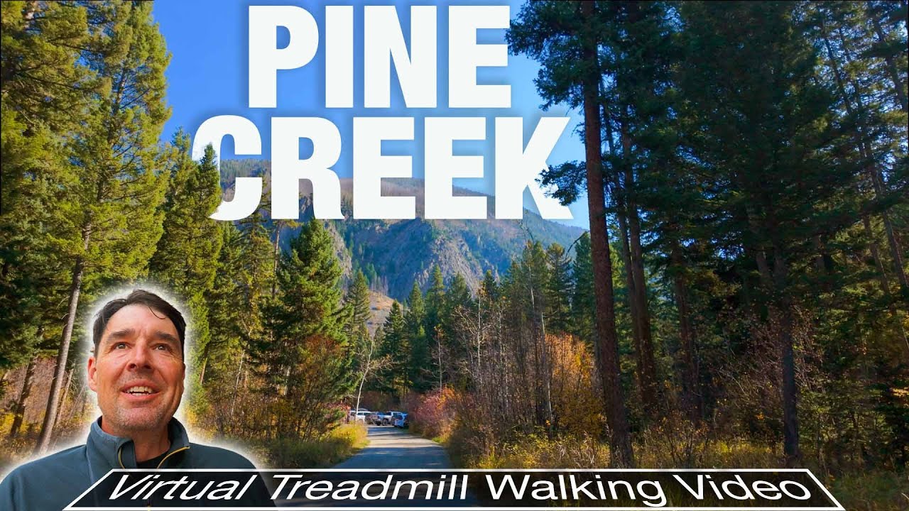 Breathtaking Forest Trail Walk You NEED - Experience Montana - Pine Creek, MT - City Walks