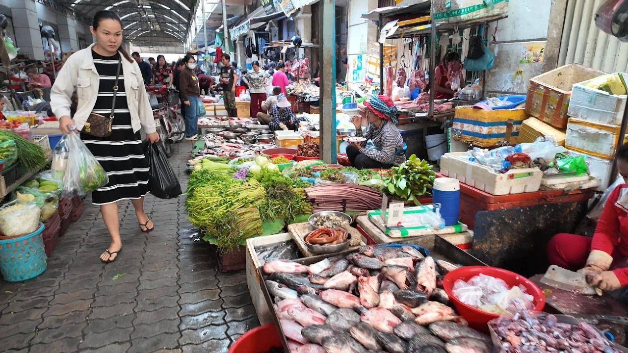 Morning Cambodia Local Market | Walking Tour in Boeung Trabaek Market, Phnom Penh City