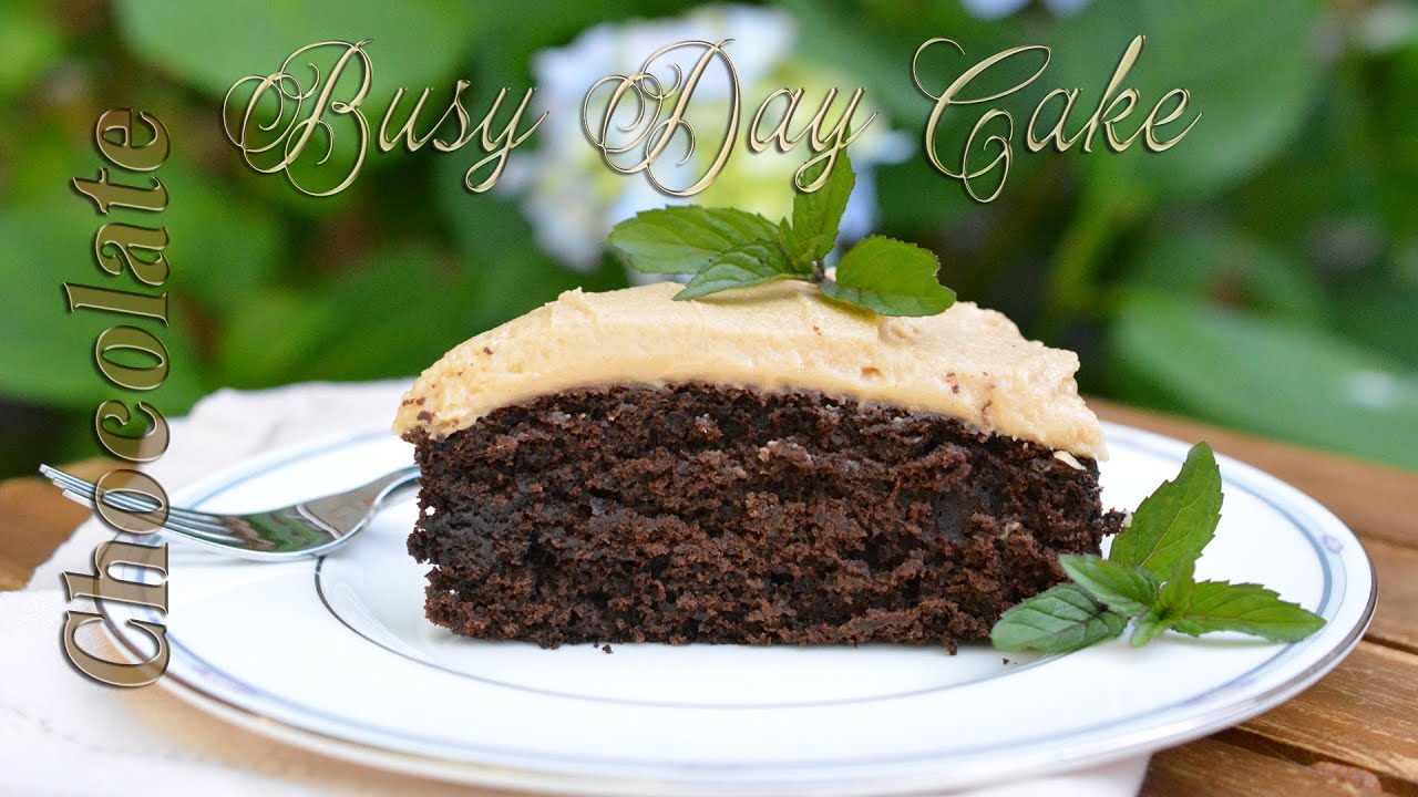 Chocolate Busy Day Cake | Easy Scratch Cake | One Bowl Dessert
