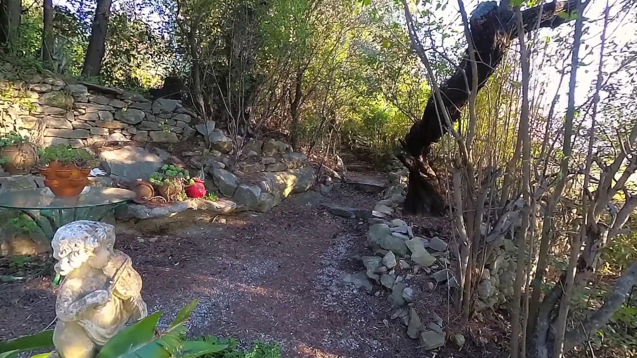 The old path - Summer dusk Night is coming - Natural ambient sounds and relaxing zen music