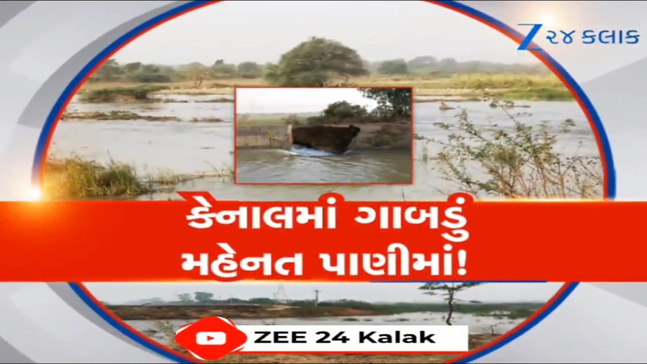 Surat: ફરી તૂટી કેનાલ, તૂટયા તાતના સપના! ખેતરમાં રહેલા મહામુલા પાકનો સર્વનાશ, ભ્રષ્ટાચારનો આરોપ