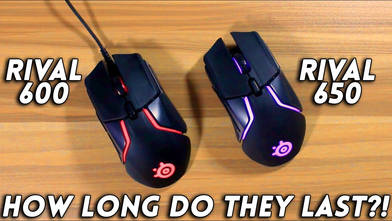 SteelSeries Rival 600/650 Durability and Long Term Review!