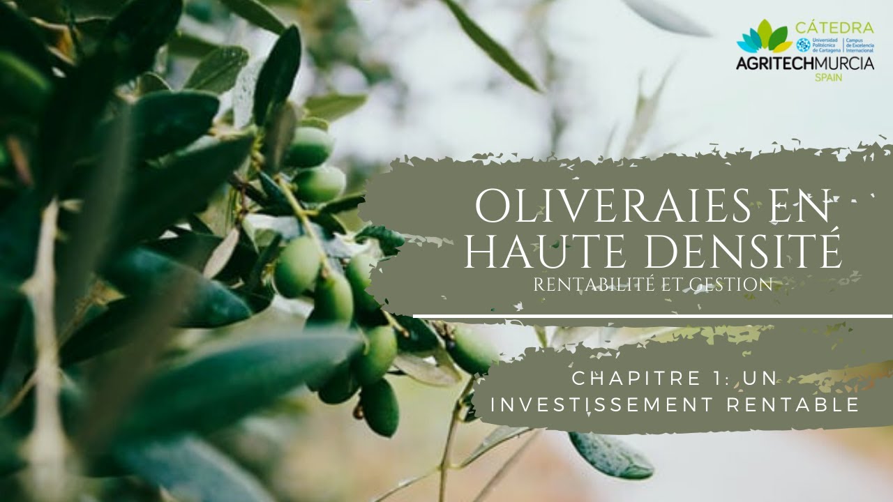 Chapitre 1: Un investissement rentable