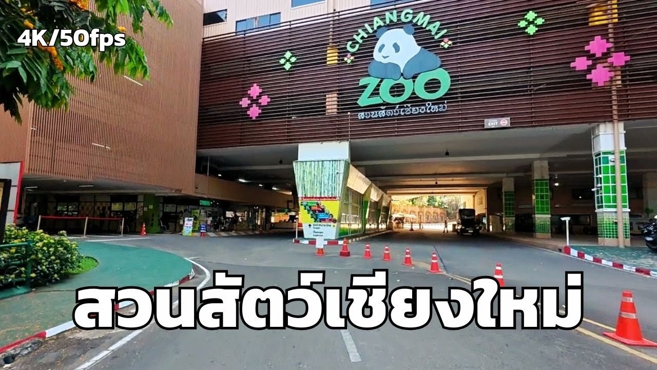 สวนสัตว์เชียงใหม่ 2026 ล่าสุด! เปลี่ยนไปเยอะไหม? พาชมอควาเรียมทะเลบนดอย 🐠