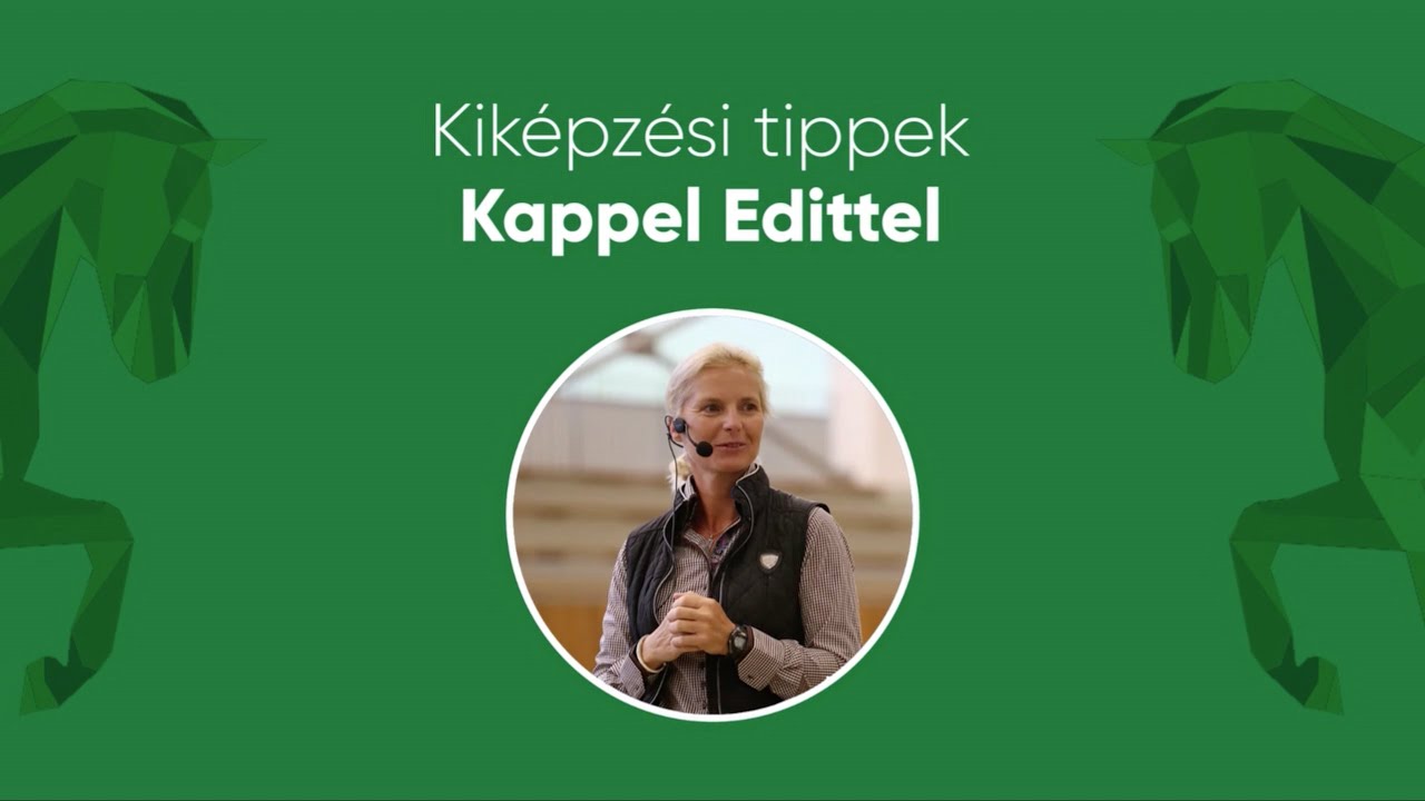 Kiképzési tippek Kappel Edittel: 1. rész: Hogyan tanítsam meg a lovamat nyugodtan állni?