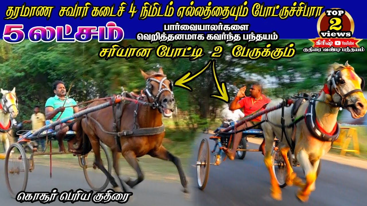 பெரியகுதிரை கொசூர் கரூர்(மா) பந்தயம் Periya kuthirai kosur karur  krish studio horse rac