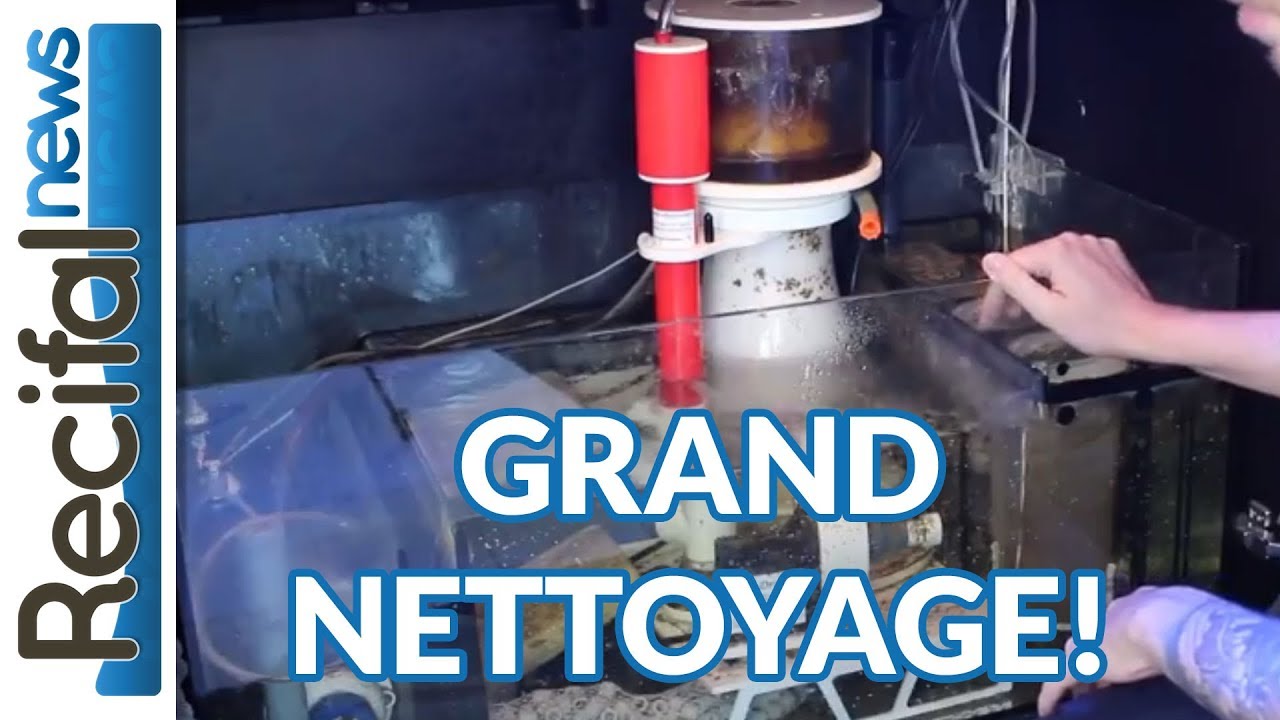 [VLOG#12] Vince Z : grand nettoyage du red sea reefer !