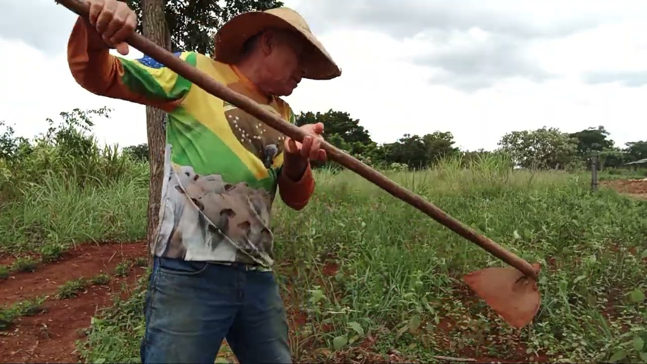 LIMPANDO  A ROÇA 