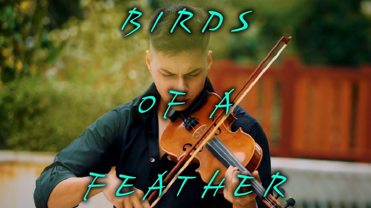 Birds Of a Feather - Billie Eilish - Cover (Violin)
