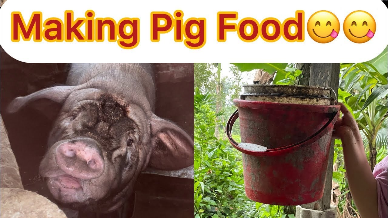 Cutting Pig food//Village Lifestyle//NortheastIndia#trending@JOICY-13 