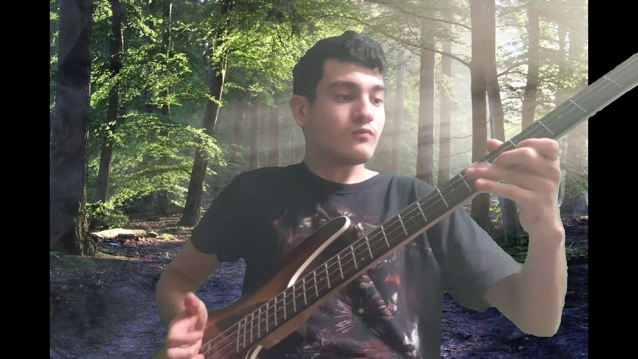Davie504 Hardest Bass Riff EVER (Cover) | ido berg