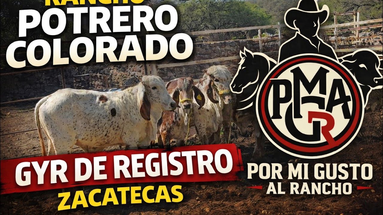RANCHO 