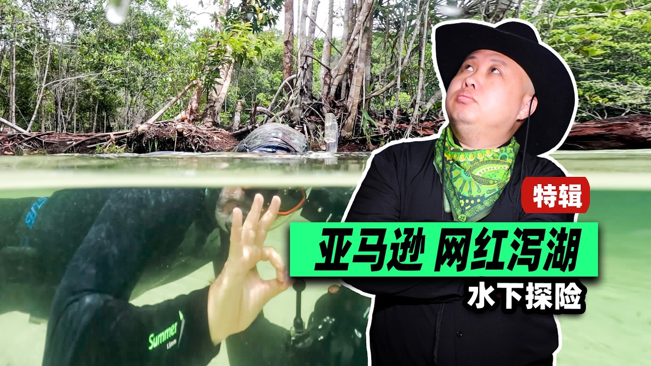 亚马逊網紅泻湖水下實況視頻，多种南美觀賞魚的原生地！#aquarium