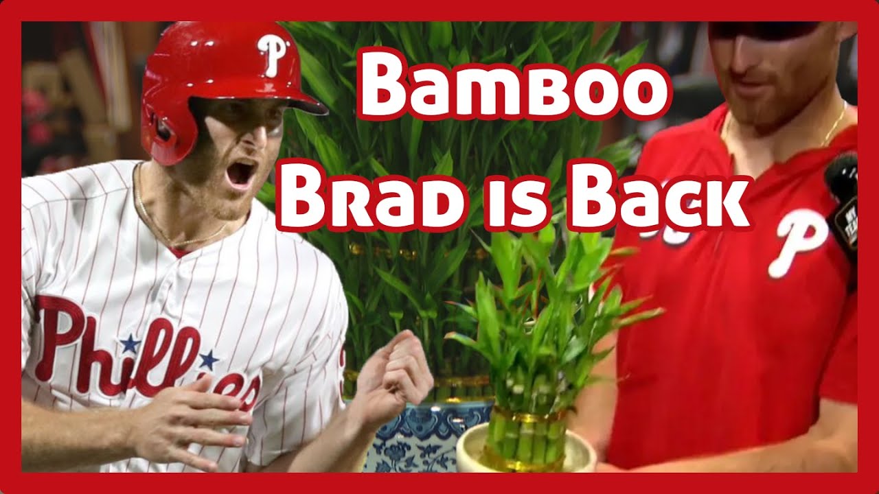 Bamboo Brad Miller Coming Home (Brad Miller 2019 Phillies Highlights)