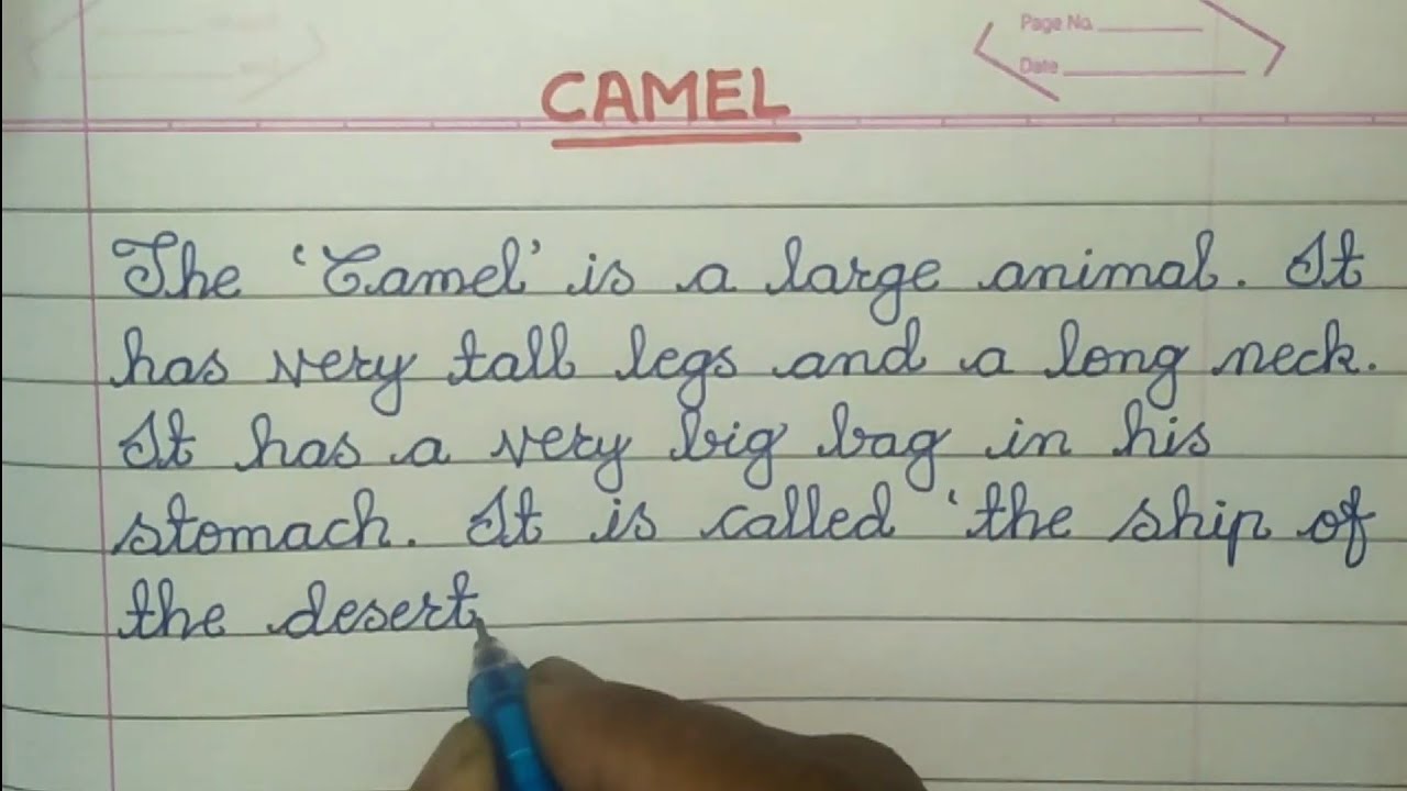 Short Essay on 'Camel' (100 Words) in English // Essay on Camel in English