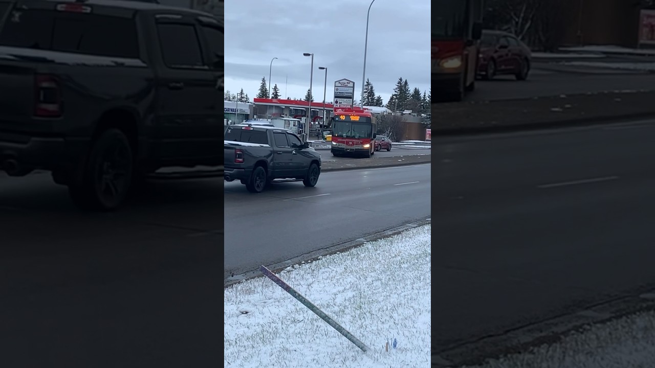 XD40 #8353 On Route 40 To Crowfoot Station #transit #bus #viral #shorts