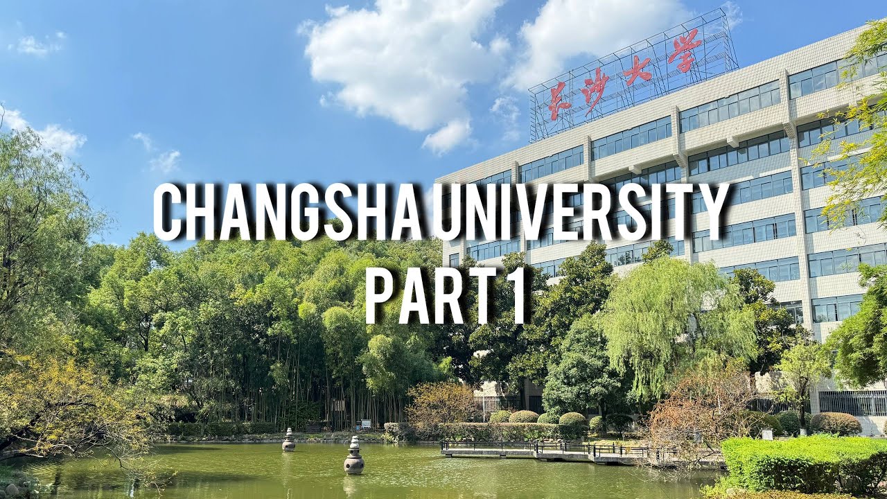 Changsha University 1 часть | Языковой год