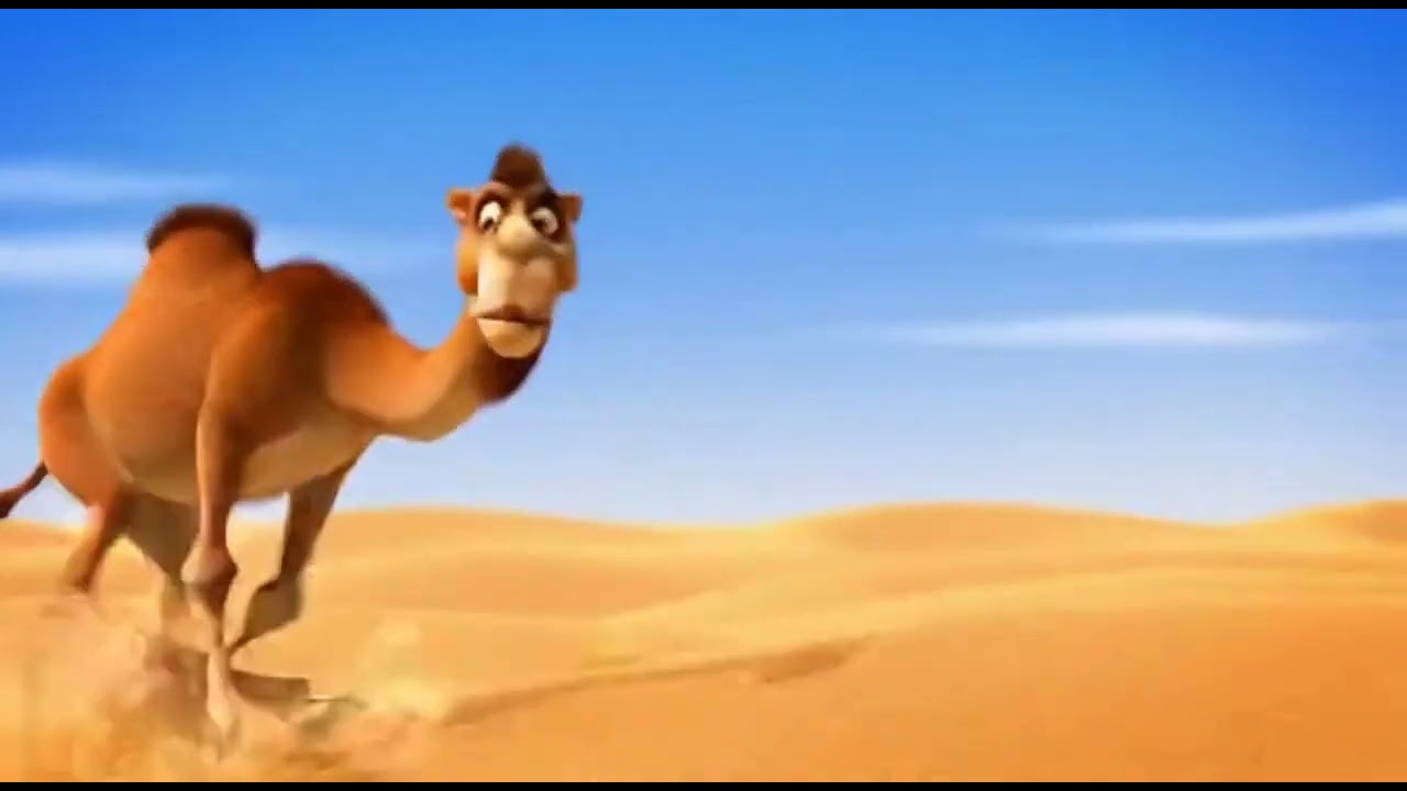 الجمل بده تمر وشعير