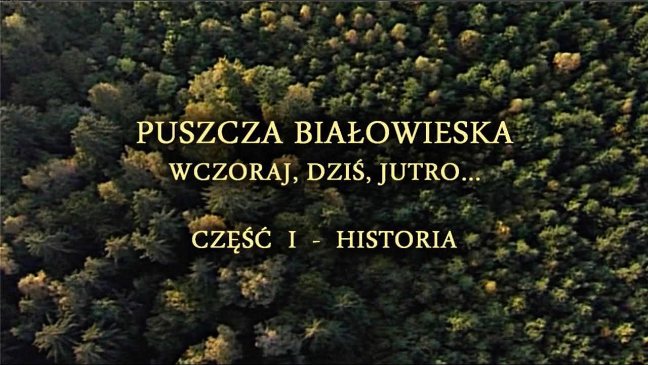 Puszcza Białowieska. Wczoraj, dziś i jutro. Część 1 - HISTORIA