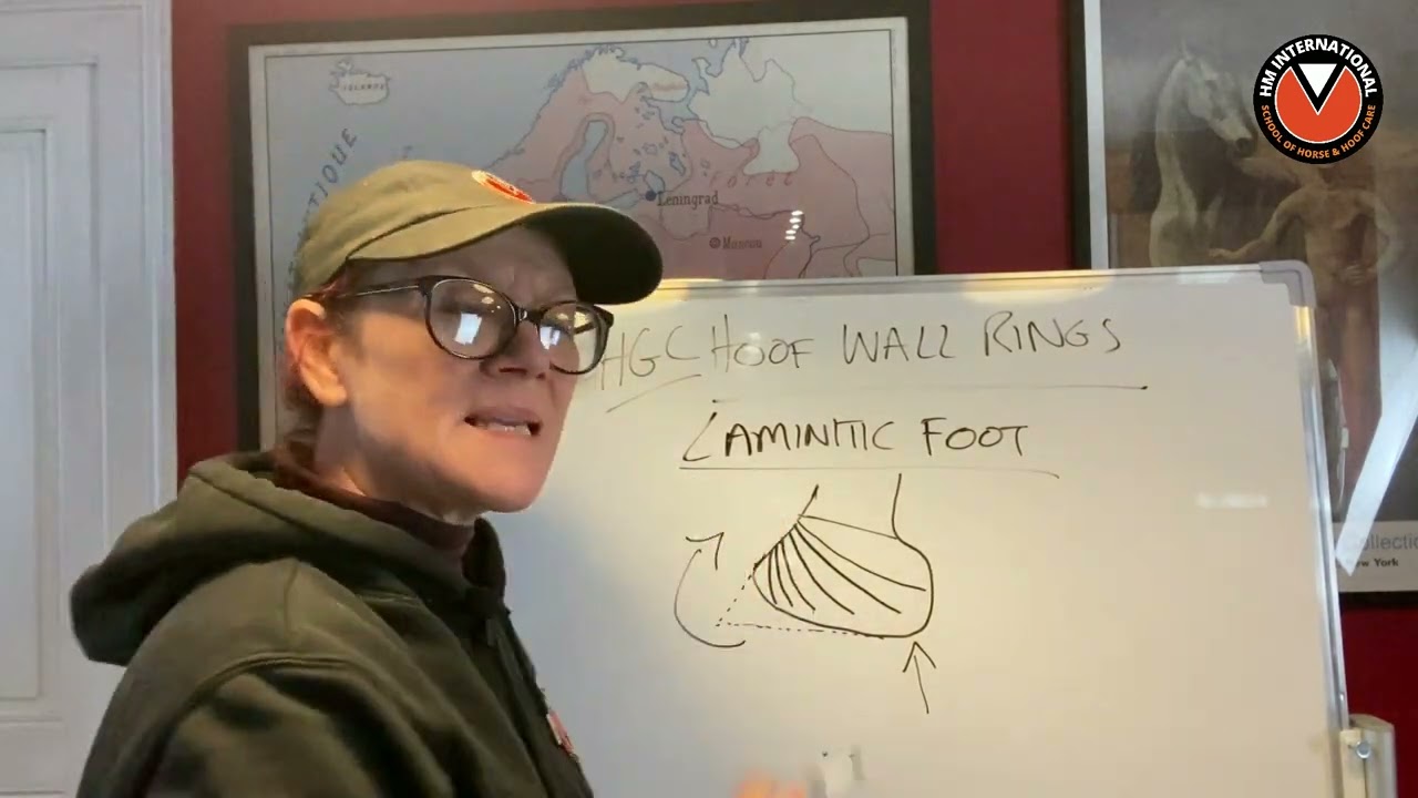 More Myth Busting: HOOF WALL RINGS (don't ignore them ⚠️)