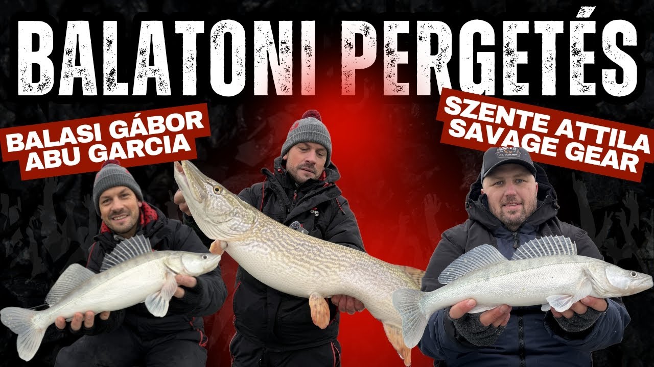 Titán előke, kapitális hal, BORULÁS a Balatonon! 😳 Süllőzés elszabadulva 🎣 Balasi Gabival 🇭🇺