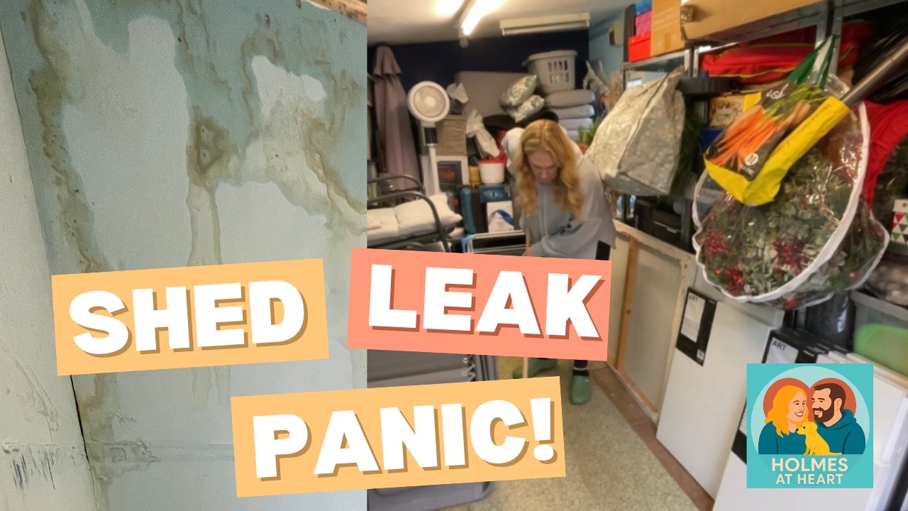 Real Life Reno Prep: Dealing with a Leaky Shed & Clearing Space