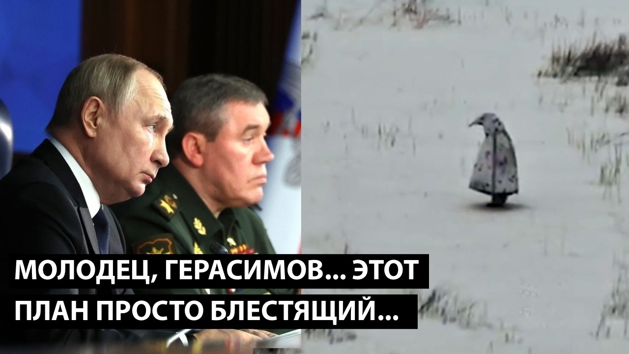 Молодец, Герасимов... ЭТОТ ПЛАН ПРОСТО БЛЕСТЯЩИЙ