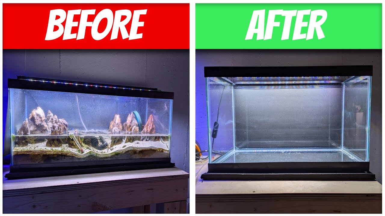 Cleaning Glass Aquarium and Prepping it For a New Project