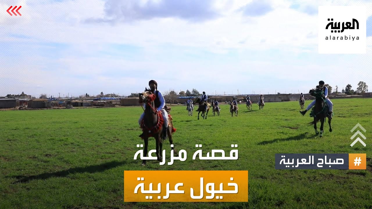 صباح العربية | الهنوف.. قصة مزرعة خيول عربية نادرة في سوريا