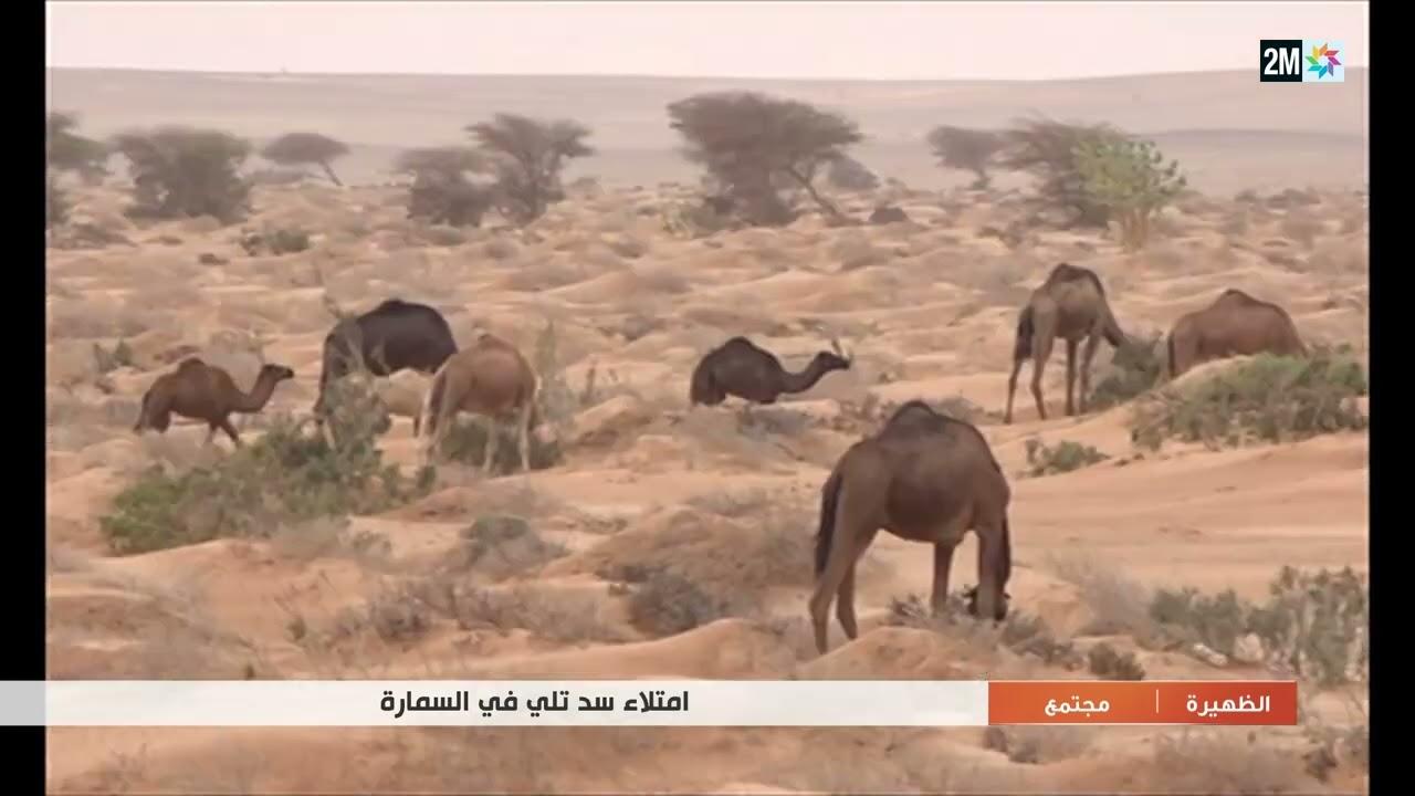 امتلاء سد تلي في السمارة