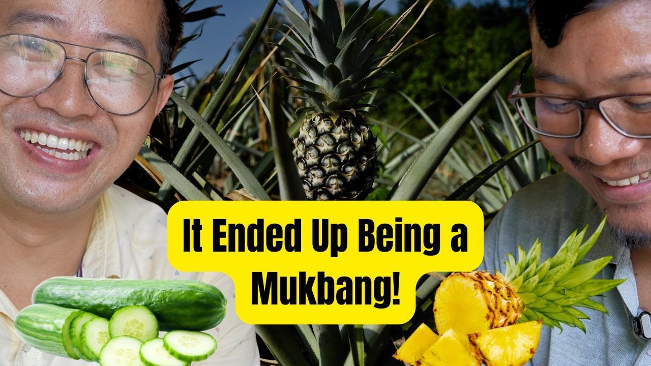Unboxing the Garden of Jarnel II Mukbang – Pineapple & Cucumber Feast from His Farm!