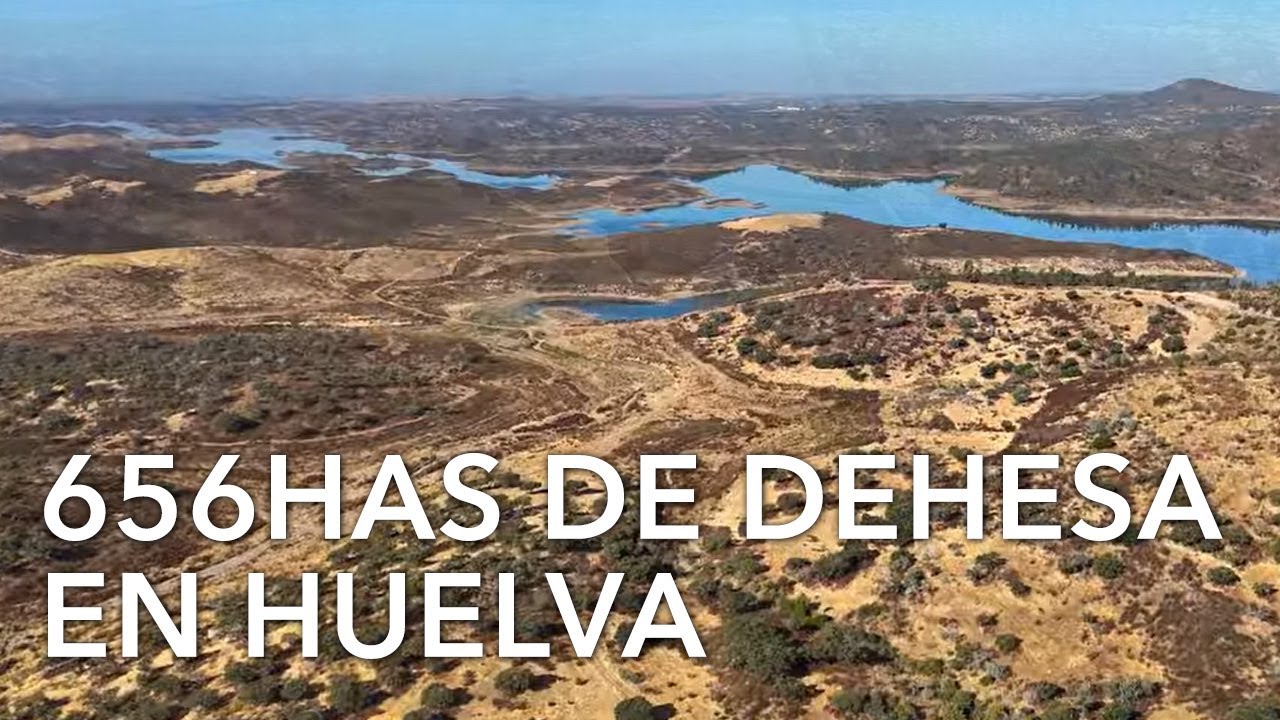 656 hectáreas de dehesa productiva en Huelva P3223
