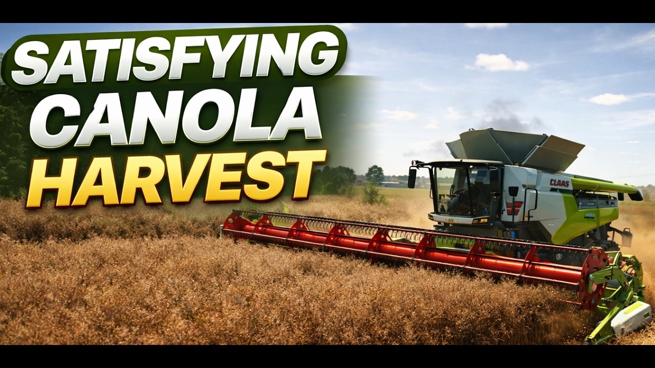 Satisfying Canola Harvest | Farming Simulator 25 (No Commentary)