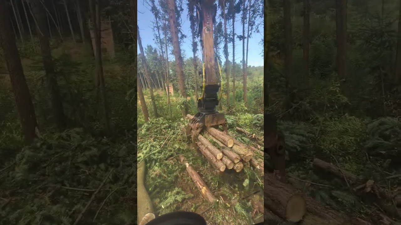#XUVOL 6-9ton Excavator Log Grapple！Who know i am a women operator！