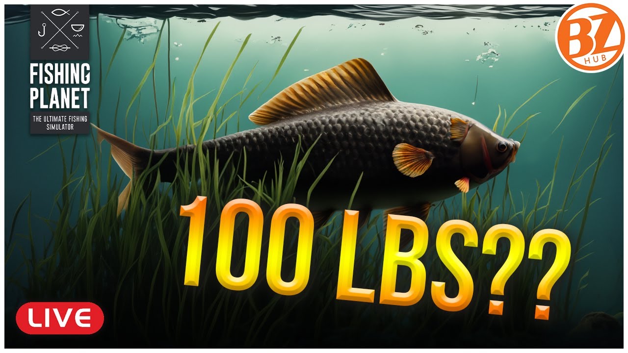BACK ON THE HUNT... the 100lb CARP!! l Weeping Willows, Fishing planet [LIVE]