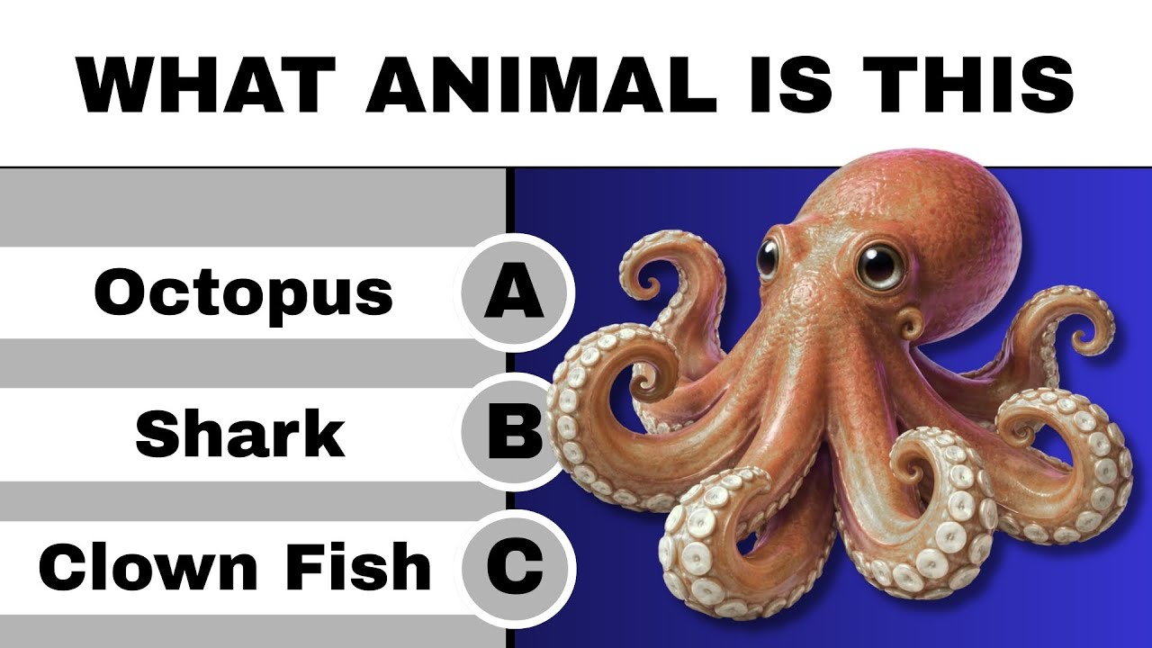 Find These 45 Marine Animals Through Their Photos 🐙🦀 Animal Quiz