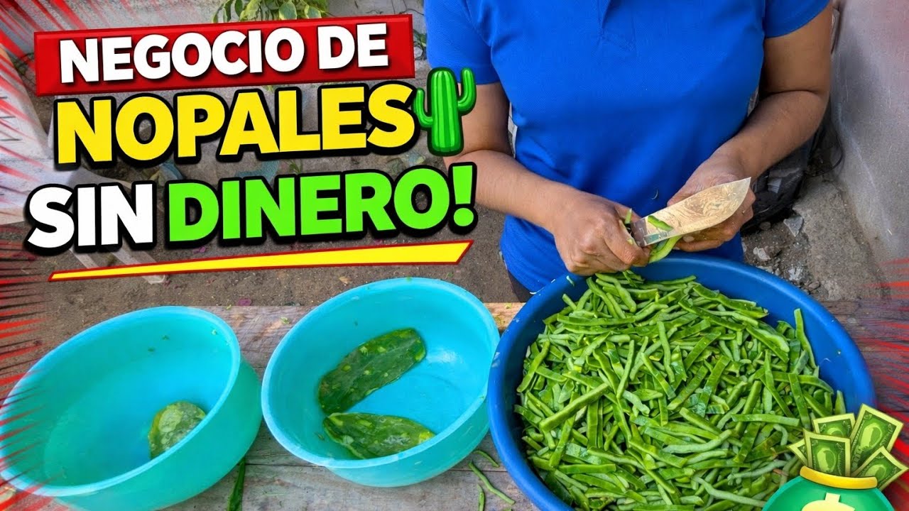 ¿Es Buen Negocio Pelar y Vender Nopales?