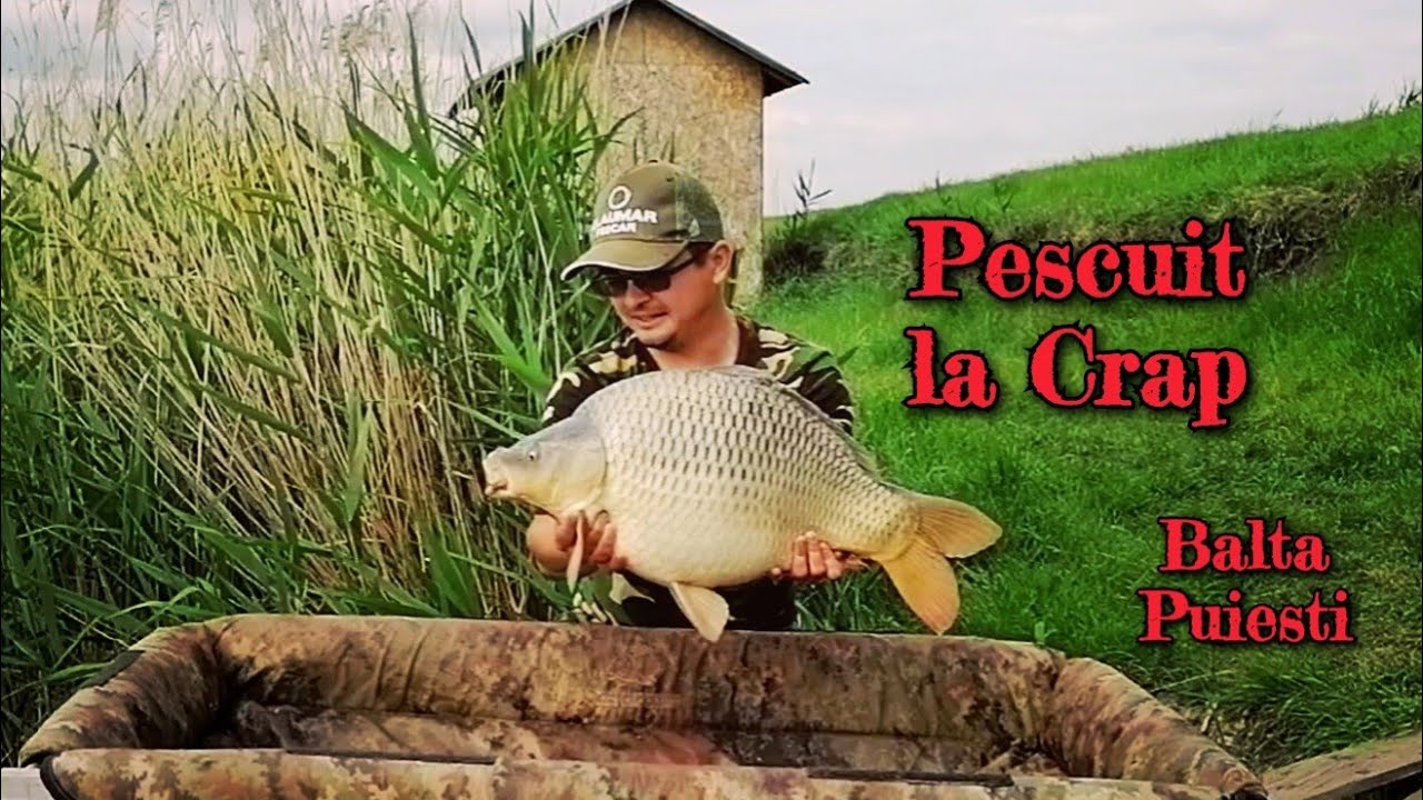 Partidă de PESCUIT la CRAP de 24 h pe balta PUIEȘTI (la Genes)