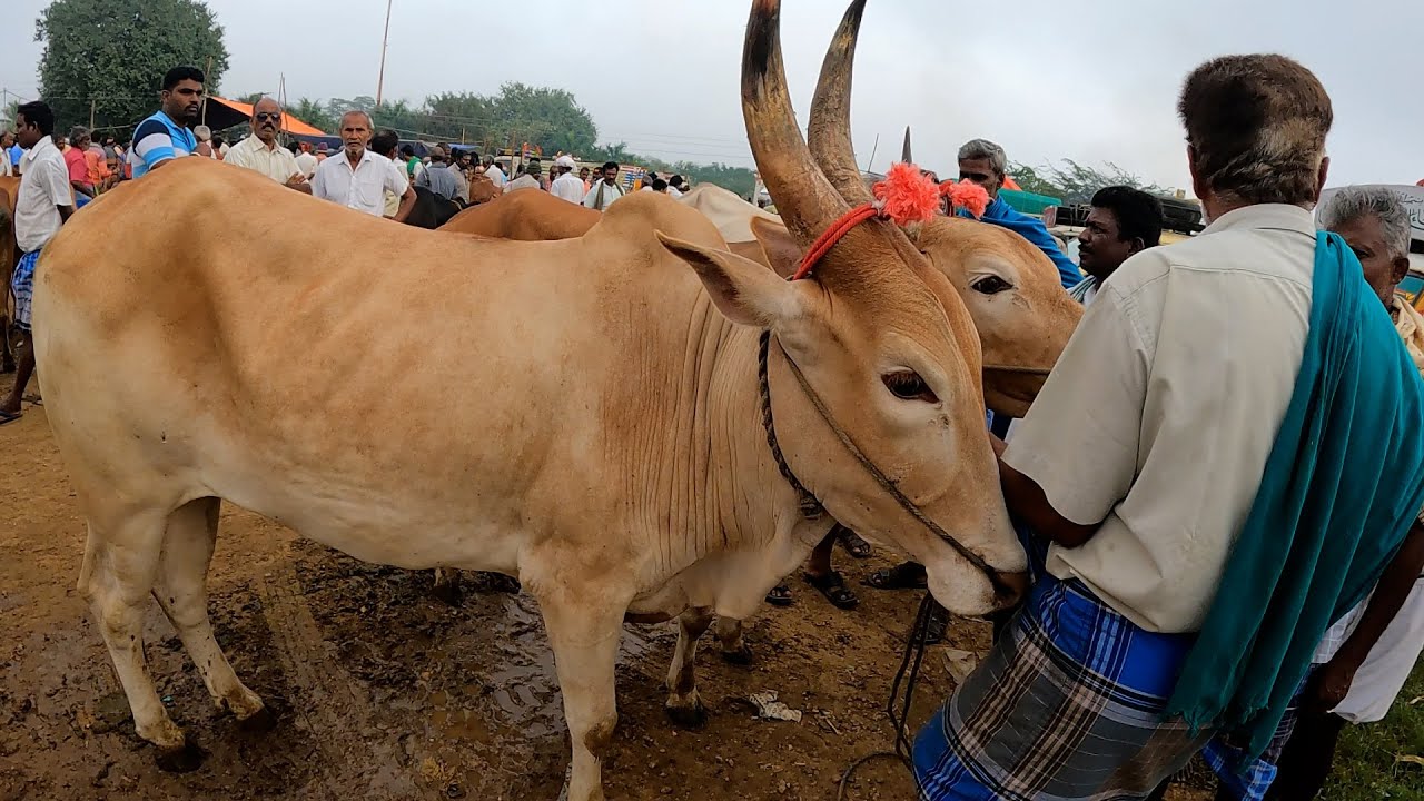 ஊத்தங்கரை சந்தை