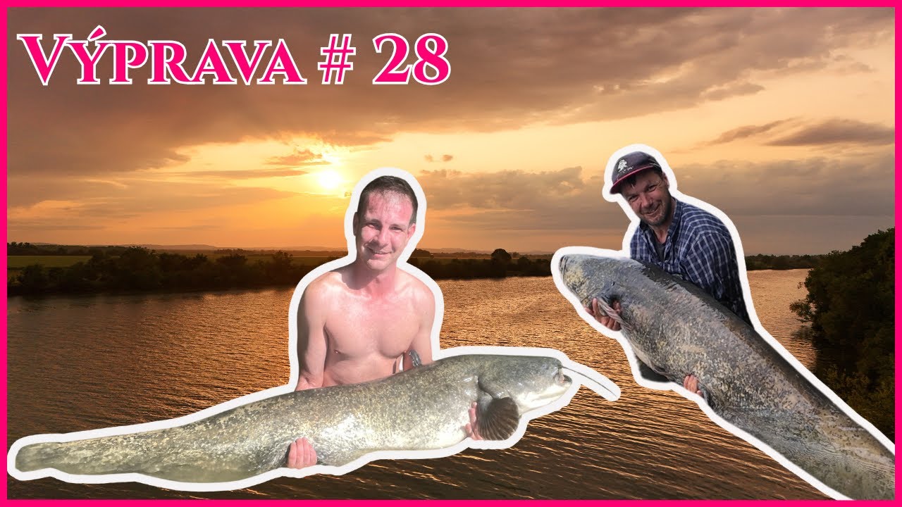 Výprava # 28