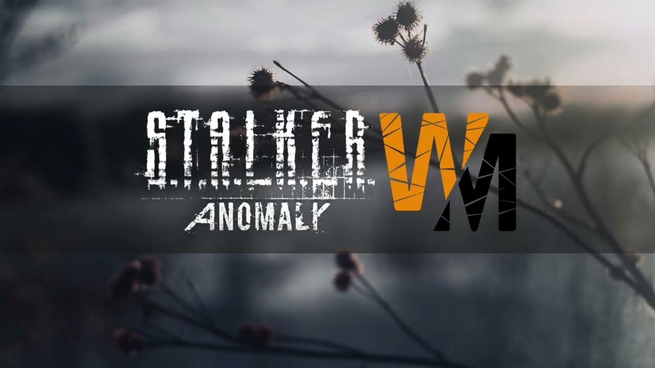 Anomaly WM - первое видео, ИИГ